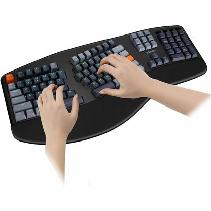 Image #7