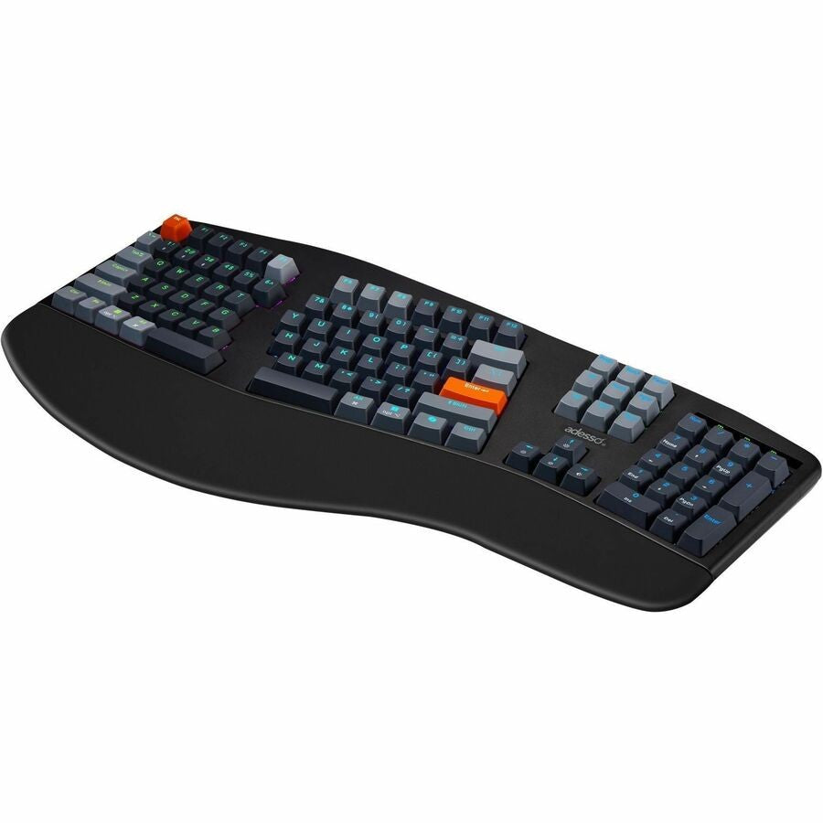 Image #5