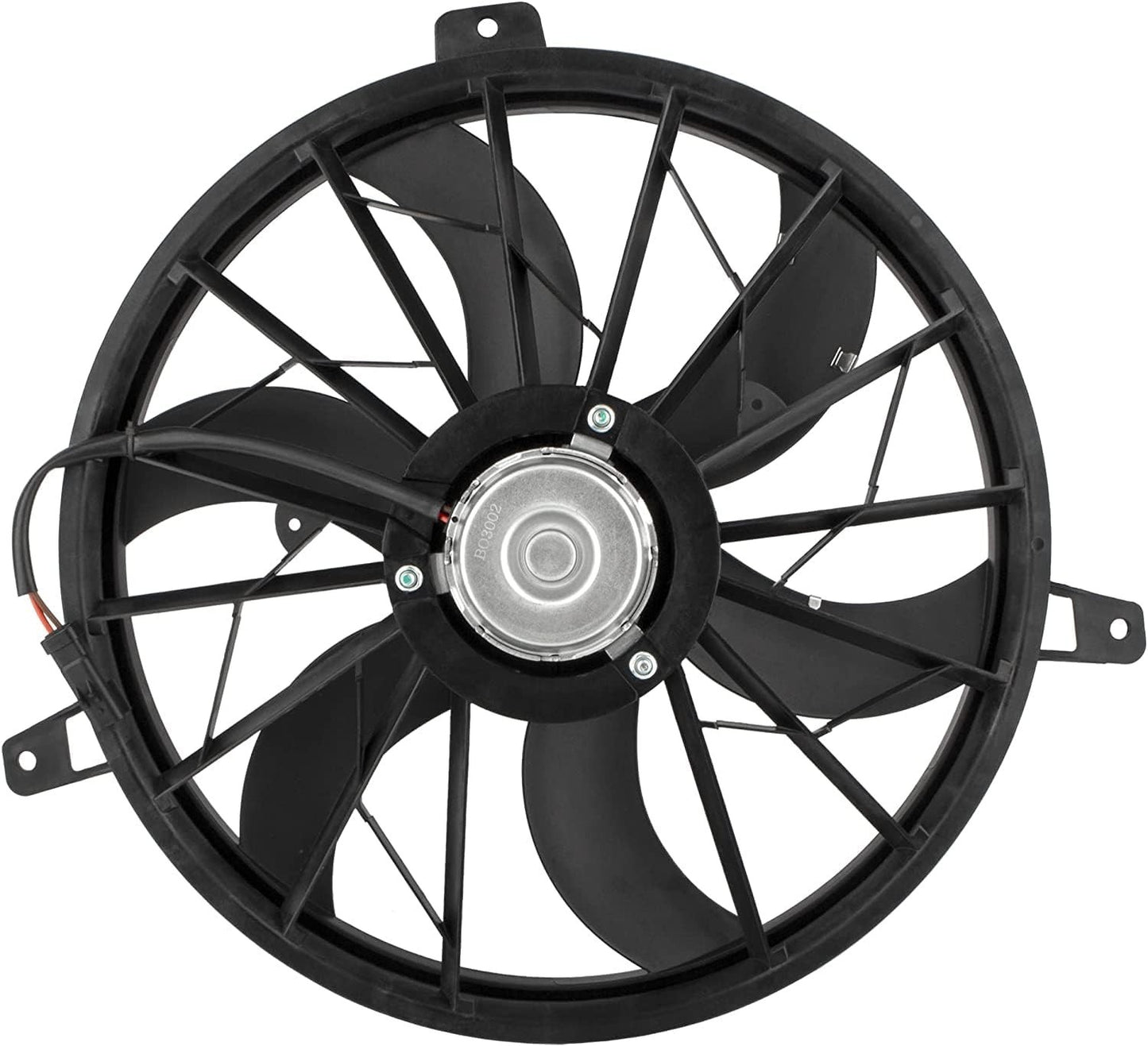 Image #3