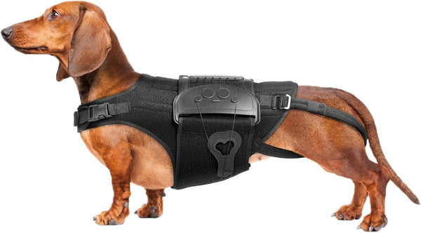 Dog Back Brace Spine Support Size L