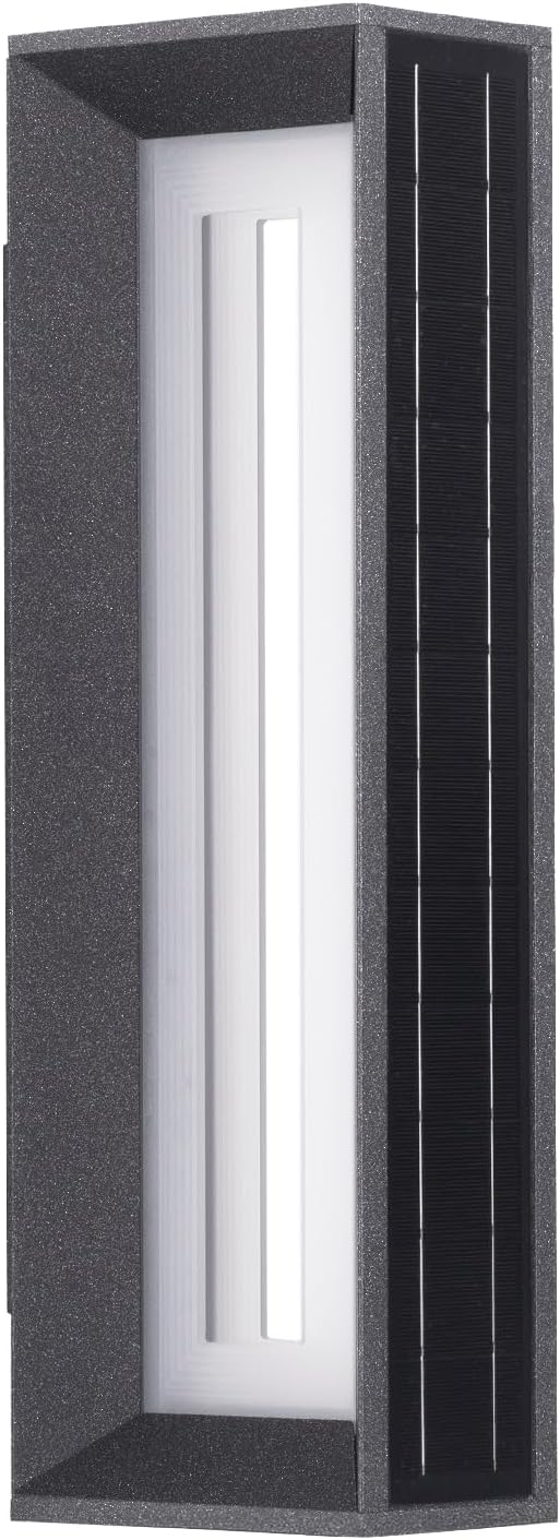 Image #9